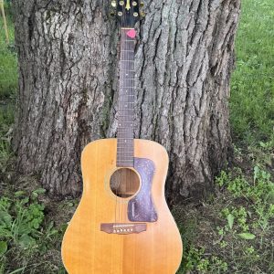 Guild D-6 NT